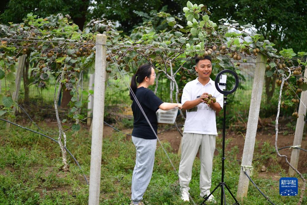 万人炸金花公平